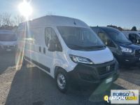 Fiat DUCATO DUCATO | Leggero Furgone > 35 q.li Altro | Borgo Agnello S.p.A.