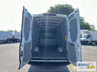 Iveco DAILY 35S14 DAILY 35S14 | Leggero Furgone > 35 q.li Altro | Borgo Agnello S.p.A.