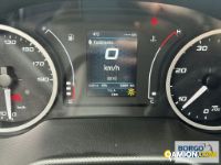Iveco DAILY 35C14 DAILY 35C14 | Leggero Furgone > 35 q.li Altro | Borgo Agnello S.p.A.