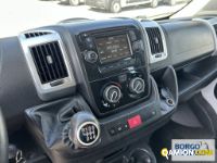Fiat DUCATO DUCATO | Bus Minibus | Borgo Agnello S.p.A.