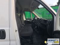 Fiat DUCATO DUCATO | Altro Isotermico / coibentato | Borgo Agnello S.p.A.