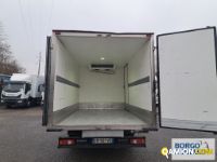 Iveco DAILY 35C16 DAILY 35C16 | Altro Isotermico / coibentato | Borgo Agnello S.p.A.