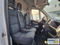 Fiat DUCATO DUCATO | Leggero Furgone > 35 q.li Altro | Borgo Agnello S.p.A.