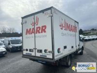 Iveco DAILY 35C17 DAILY 35C17 | Altro Isotermico / coibentato | Borgo Agnello S.p.A.
