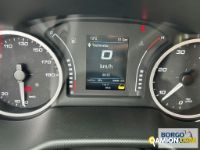Iveco DAILY 35C14 DAILY 35C14 | Leggero Furgone > 35 q.li Altro | Borgo Agnello S.p.A.