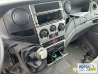 Iveco DAILY 70C17 | Motrice Isotermico / coibentato | Borgo Agnello S.p.A.