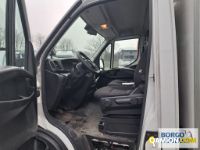 Iveco DAILY 35C16 DAILY 35C16 | Altro Isotermico / coibentato | Borgo Agnello S.p.A.