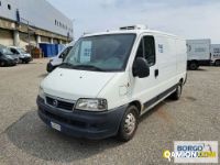 Fiat DUCATO DUCATO | Altro Isotermico / coibentato | Borgo Agnello S.p.A.