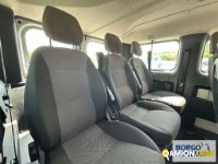 Fiat DUCATO DUCATO | Bus Minibus | Borgo Agnello S.p.A.