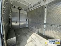 Iveco DAILY 35S17 | Leggero Furgone > 35 q.li Altro | Borgo Agnello S.p.A.