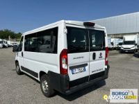 Fiat DUCATO DUCATO | Bus Minibus | Borgo Agnello S.p.A.