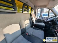 Iveco DAILY 35S14 DAILY 35S14 | Altro Isotermico / coibentato | Borgo Agnello S.p.A.