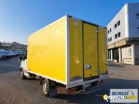 Iveco DAILY 35S14 DAILY 35S14 | Altro Isotermico / coibentato | Borgo Agnello S.p.A.