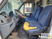 Fiat DUCATO DUCATO | Altro Isotermico / coibentato | Borgo Agnello S.p.A.