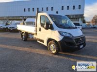 Fiat DUCATO DUCATO | Altro Cassone fisso | Borgo Agnello S.p.A.