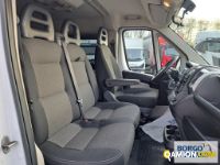 Fiat DUCATO DUCATO | Bus Minibus | Borgo Agnello S.p.A.