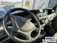 Iveco DAILY 60C17 DAILY 60C17 | Altro Isotermico / coibentato | Borgo Agnello S.p.A.