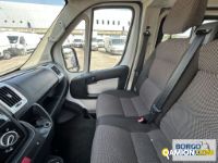 Fiat DUCATO DUCATO | Bus Minibus | Borgo Agnello S.p.A.