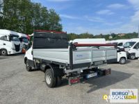 Iveco DAILY 35C14 DAILY 35C14 | Mezzi d'opera / mezzi da cantiere Altro | Borgo Agnello S.p.A.