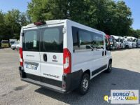 Fiat DUCATO DUCATO | Bus Minibus | Borgo Agnello S.p.A.