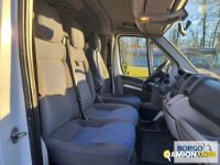 Fiat DUCATO DUCATO | Bus Minibus | Borgo Agnello S.p.A.