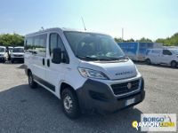Fiat DUCATO DUCATO | Bus Minibus | Borgo Agnello S.p.A.