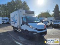 Iveco DAILY 70C18 DAILY 70C18 | Motrice Isotermico / coibentato | Borgo Agnello S.p.A.