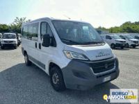 Fiat DUCATO DUCATO | Bus Minibus | Borgo Agnello S.p.A.