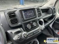 Fiat DUCATO DUCATO | Altro Cassone fisso | Borgo Agnello S.p.A.