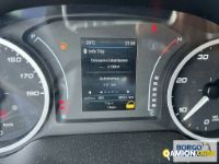 Iveco DAILY 35C14 DAILY 35C14 | Mezzi d'opera / mezzi da cantiere Altro | Borgo Agnello S.p.A.