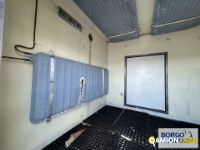 Iveco DAILY 60C15 | Motrice Isotermico / coibentato | Borgo Agnello S.p.A.