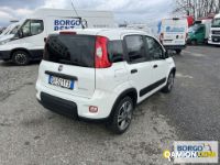 Fiat PANDA PANDA | Automobile Automobile | Borgo Agnello S.p.A.