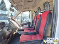 Fiat DUCATO DUCATO | Bus Minibus | Borgo Agnello S.p.A.