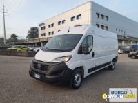 Fiat DUCATO DUCATO | Altro Isotermico / coibentato | Borgo Agnello S.p.A.