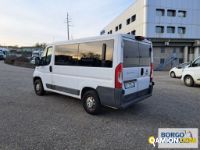 Fiat DUCATO DUCATO | Bus Minibus | Borgo Agnello S.p.A.