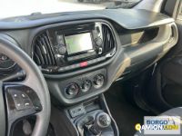 Fiat DOBLO DOBLO | Automobile Automobile | Borgo Agnello S.p.A.