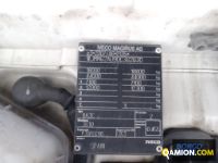 Iveco STRALIS STRALIS | Trattore Trattore | Borgo Agnello S.p.A.