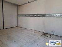 Iveco DAILY daily 50c15 | Motrice Isotermico / coibentato | Borgo Agnello S.p.A.