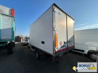 Iveco DAILY 60C17 DAILY 60C17 | Altro Isotermico / coibentato | Borgo Agnello S.p.A.