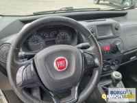 Fiat FIORINO FIORINO | Leggero Furgone > 35 q.li Altro | Borgo Agnello S.p.A.