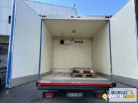 Iveco DAILY 60C15 | Motrice Isotermico / coibentato | Borgo Agnello S.p.A.