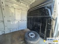 Iveco DAILY 35S14 DAILY 35S14 | Leggero Furgone > 35 q.li Altro | Borgo Agnello S.p.A.