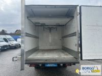 Iveco DAILY 35C17 DAILY 35C17 | Altro Isotermico / coibentato | Borgo Agnello S.p.A.