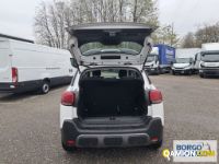 Citroen C3 AIRCROSS VAN C3 AIRCROSS VAN | Leggero Furgone > 35 q.li Altro | Borgo Agnello S.p.A.
