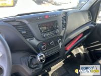 Iveco DAILY 35C14 DAILY 35C14 | Altro Cassone fisso | Borgo Agnello S.p.A.