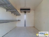 Iveco DAILY 35S14 DAILY 35S14 | Altro Isotermico / coibentato | Borgo Agnello S.p.A.