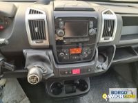 Fiat DUCATO DUCATO | Bus Minibus | Borgo Agnello S.p.A.