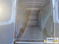Iveco DAILY 35S14 DAILY 35S14 | Leggero Furgone > 35 q.li Altro | Borgo Agnello S.p.A.