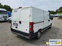 Fiat DUCATO DUCATO | Altro Isotermico / coibentato | Borgo Agnello S.p.A.