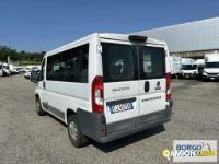 Fiat DUCATO DUCATO | Bus Minibus | Borgo Agnello S.p.A.